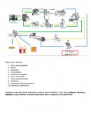 Maquinaria y equipos Embutidos Butifarras