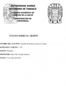 Ensayo sobre el aborto