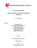 PRODUCCION DE JAMON Y EMBUTIDOS