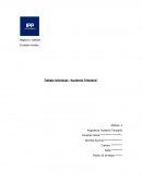 AUDITORIA TRIBUTARIA CHILE