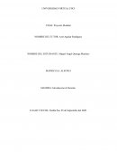 Proyecto modular. CASO “CAMPO ALGODONERO”