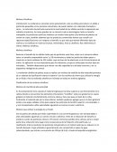 Laboratorio 1 Molinos Ultrafinos