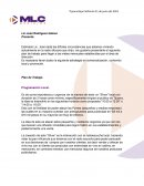 Plan de Trabajo. Programación Local