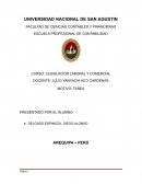 USO DE LAS NIFF Y NIC - PERÚ