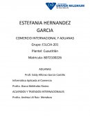 Acuerdos y Tratados Internacionales