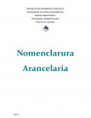 Nomenclatura Arancelaria