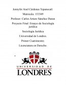 Ensayo de sociología jurídica