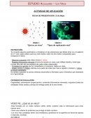 Qué es un virus. Tipos de replicación viral