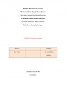 UNIDAD I, Lucha no armada