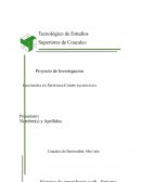 Levantamiento de requerimientos de un software