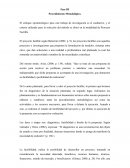 FASE III proyecto siembra de ajies