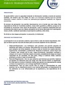 Proceso de percepcion