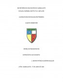 MODELOS PEDAGÓGICOS ENTREVISTA A UN DOCENTE