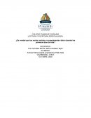 ¿Es verdad que los recién nacidos no experimentan dolor durante los primeros días de vida?