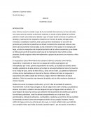 Minuta palestina y gaza