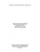 Interacción idónea - comunicación