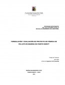 FORMULACIÓN Y EVALUACIÓN DE PROYECTO DE FÁBRICA DE PELLETS