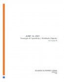 Análisis-Ambientes Virtuales de Aprendizaje (AVA)