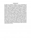 Proyecto de investigación. LAURENS S.A (INTRODUCCIÓN)