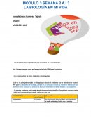 TP “¿Papel o plástico?”