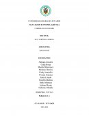 Preguntas: Debate Diferencias culturales y valores