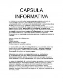 CAPSULA INFROMATIVA