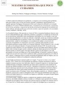 Nuestro ecosistema que poco cuidamos