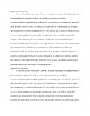 Organizacion curricular