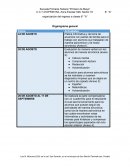 Organización de regreso a clases