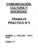 COMUNICACIÓN, CULTURA Y SOCIEDAD: TRABAJO PRACTICO N°3