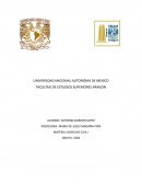 La incapacidad de la persona fisica