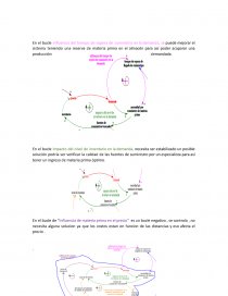 RESOLUCION DE EJERCICIO DE EMPRESARIAL - SIMULACION-FOREST. Página 2