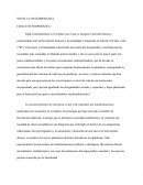 Novelas comteporaneas