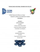 ¿Que es la calidad?