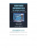 LA INFORMÁTICA COMO HERRAMIENTA DEL AUDITOR FINANCIERO