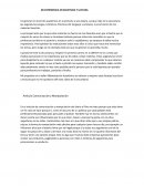 MI EXPERIENCIA EN ESCRITURA Y LECTURA