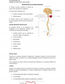 El sistema nervioso constituye el sistema de control más importante del organismo