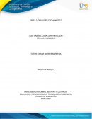 Guia fisica electronica