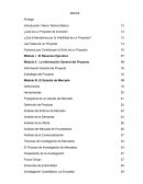 Las Fases de un Proyecto