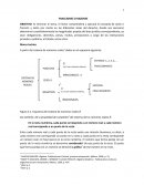 FRACCIONES O RAZONES
