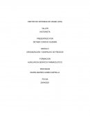 Segurida y salud en el trabajo