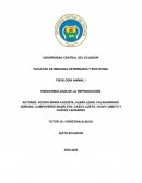 FISIOLOGÍA ANIMAL I ENDOCRINOLOGÍA DE LA REPRODUCCIÓN