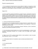 Ejercicios Prácticos de Ecología de Ecosistemas