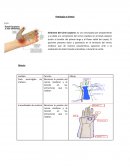 Patologías y Ortesis