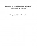 PROYECTO DE HUERTO ESCOLAR