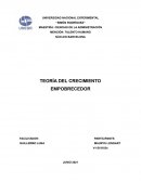 Teoría del crecimiento Empobrecedor