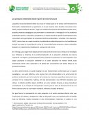 Los proyectos ambientales desde el punto de vista estructural