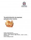 TIG administracion de empresas