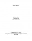 Elaboracion terminos de referencia