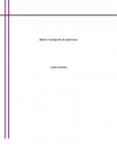 PROYECTO DE INVESTIGACION DE OPERACIONES. Empresa: SemiKing